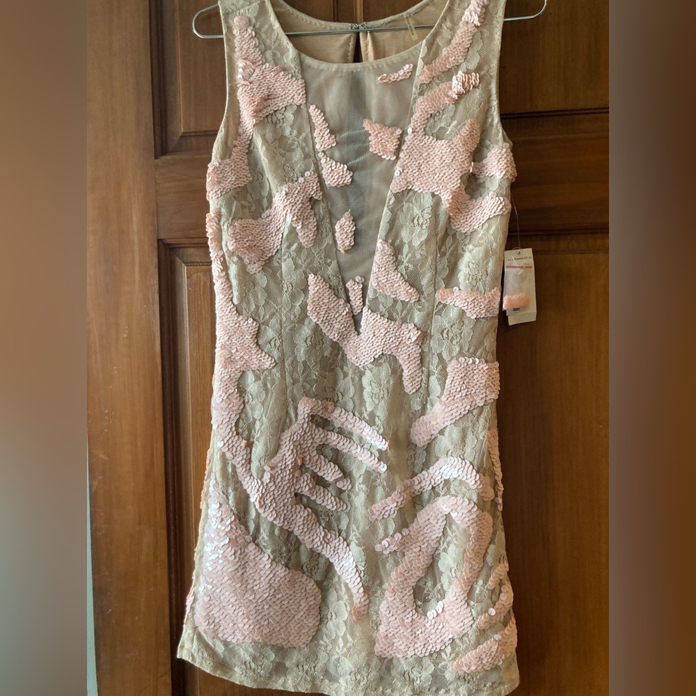 SLVISS LACE DREES W SEQIIN AND PINK XS